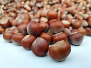 Hazelnuts, Vitamin E, and Brain Health: A Smart Snack Choice